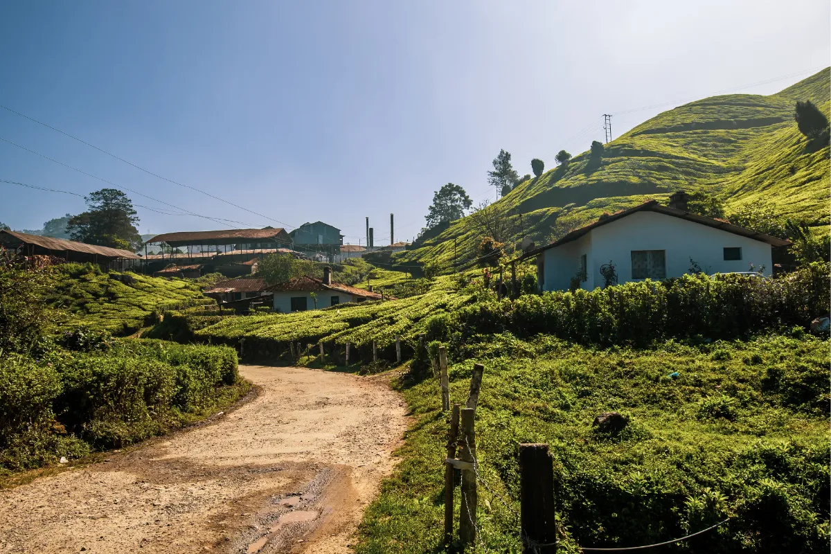 Kerala Honeymoon Special